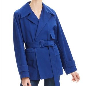 Theory “Color of the Year” Trench